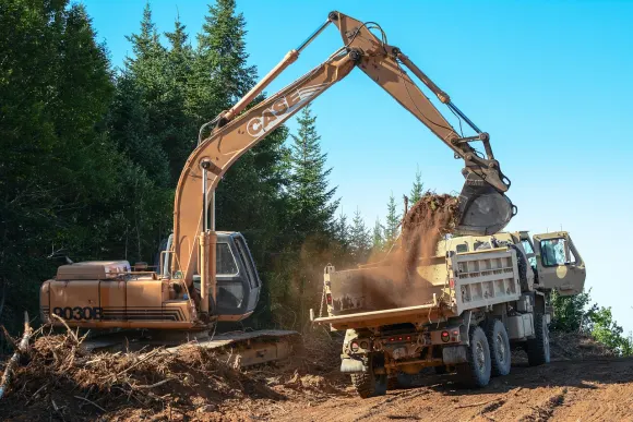 Casino Golden Crown Suporte